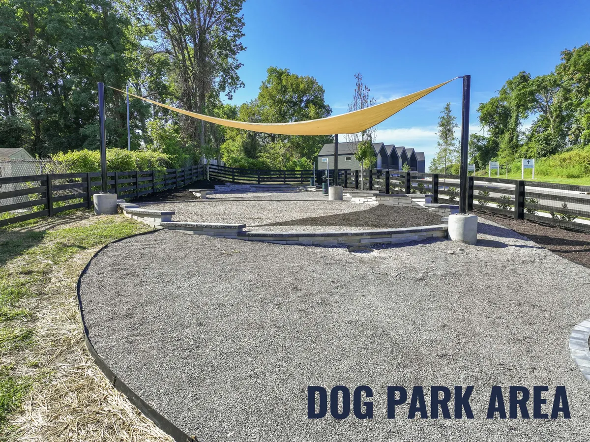 A cheerful dog park scene with a shaded area, fenced perimeter, and a gravel surface, all designed for dog playtime and casual socializing among pet owners. The inviting setup allows for pet-friendly interactions and community gatherings.