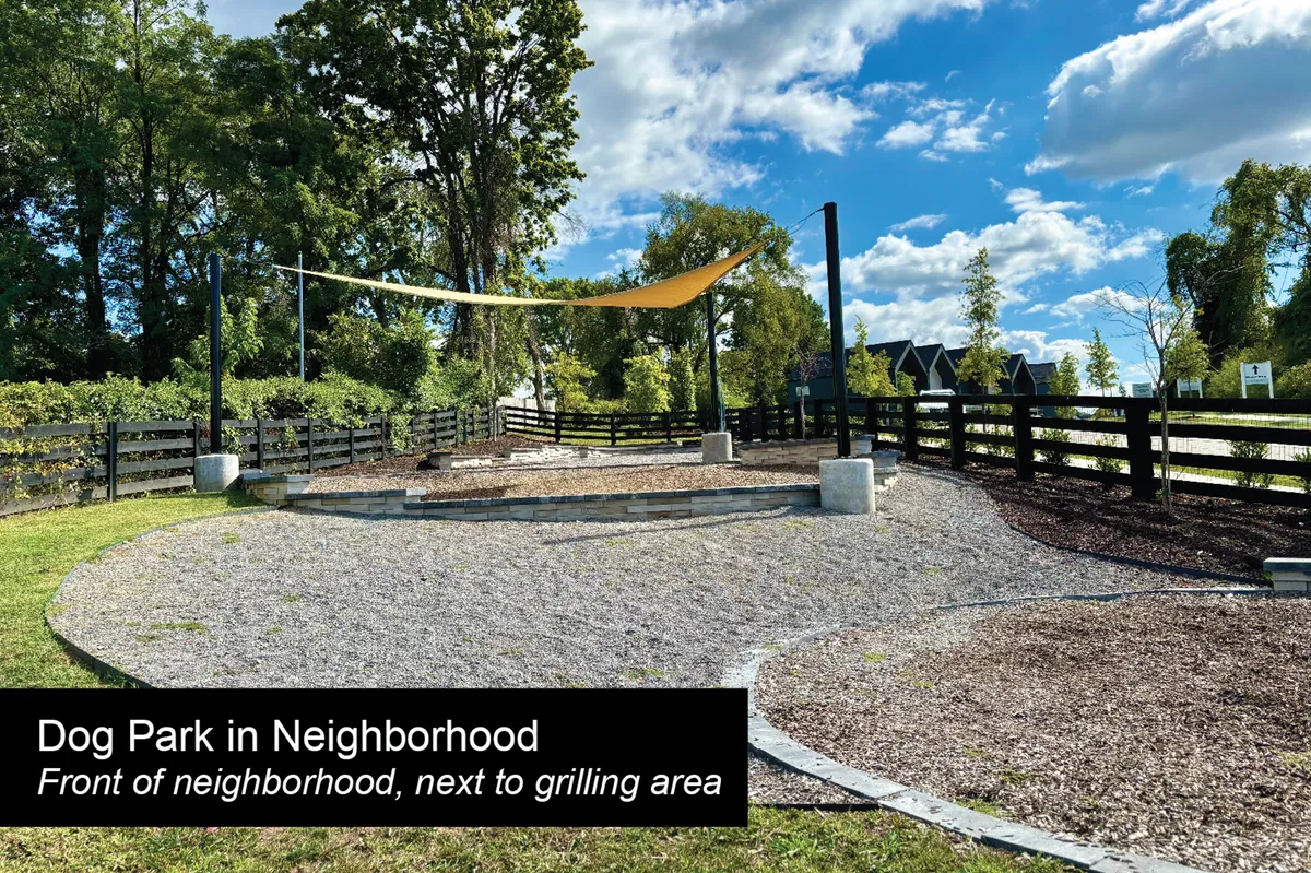 A vibrant outdoor community space with a fenced dog park, grilling area, and shaded picnic tables, set up for both pet and family gatherings. The area exudes a playful and community-oriented energy, perfect for dog socialization and family barbecues.